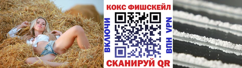 Cocaine FishScale  ссылка на мегу как войти  Гусев  купить наркотик 