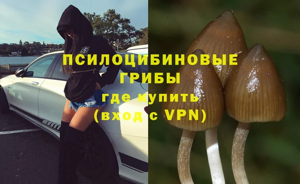 стаф Беломорск
