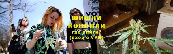 гидропоника Белокуриха